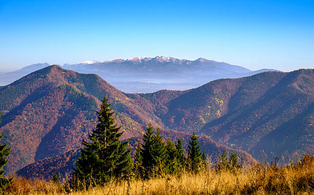 istock Landscape view of autumn mountain range, Slovakia 495290666