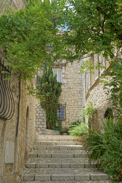 istock Saint Paul de Vence, narrow steps and plants 495291026