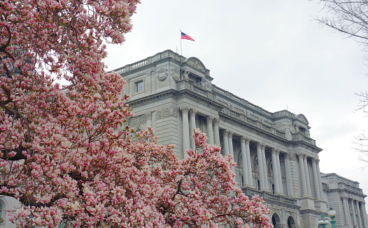 Washington DC, U.S.A. - April 14, 2015: The front of The Library of Congress in Washington, DC.