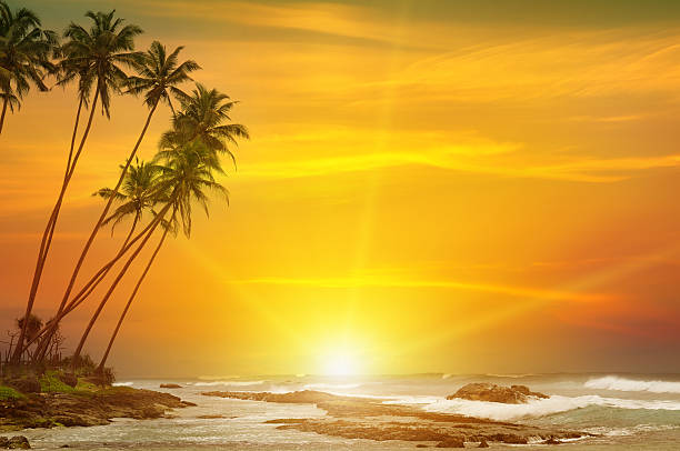 istock sunrise over the sea 495291878