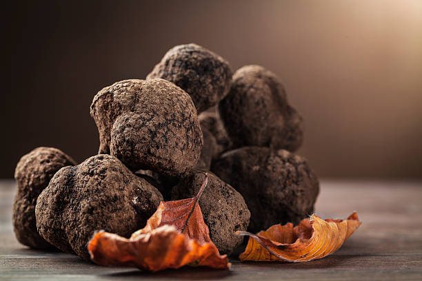 mushroom black truffle - truffle tuber melanosporum mushroom 個照片及圖片檔