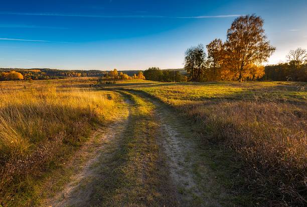 istock Autumnal grassland landscape 495292132