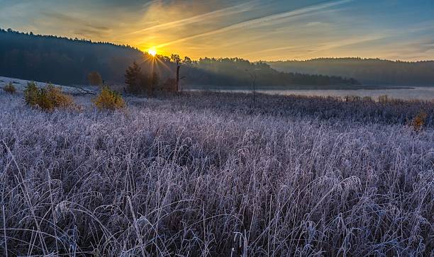 istock Cold morning on meadow with hoarfrost on plants 495292180