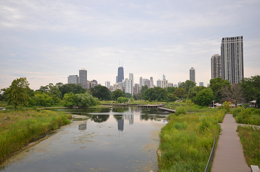 view of Chicago skyline from Lincoln Park Zoo