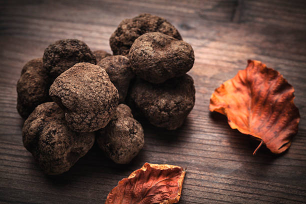 mushroom black truffle - truffle tuber melanosporum mushroom 個照片及圖片檔