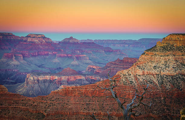 istock South Rim Grand Canyon 495293130