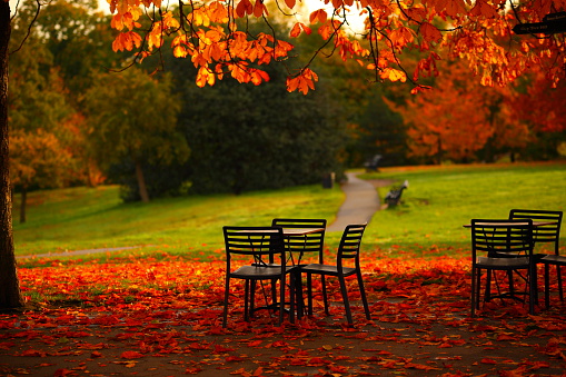 Lone table and chairs on a bed of fallen autumn leaves overlooking grass
