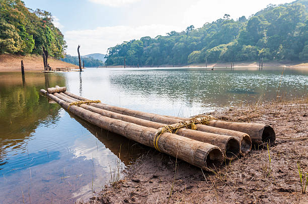 istock Scenic waterscape with bamboo raft in Periyar National Park, India. 495293450