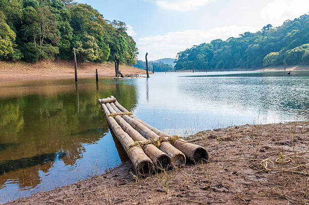 istock Scenic waterscape with bamboo raft in Periyar National Park, India. 495293470