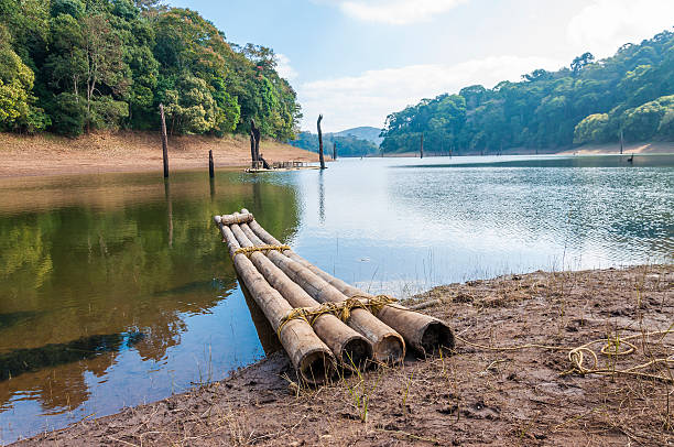 Scenic waterscape with bamboo raft in Periyar National Park, India. This shot was made in Periyar National Park and Wildlife Sanctuary or Periyar Tiger Reserve on January 2015. This amazing wildlife park is located in Kerala southern state of India. Periyar Tiger Reserve, Thekkady, is an example of nature’s bounty, with great scenic charm, rich bio diversity and providing veritable visitor satisfaction. Sprawled over an area of 925 Sq .km., Periyar is one of the 27 tiger reserves in India. The park is set high in the mountains ranges of the Western Ghats. periyar wildlife sanctuary stock pictures, royalty-free photos & images