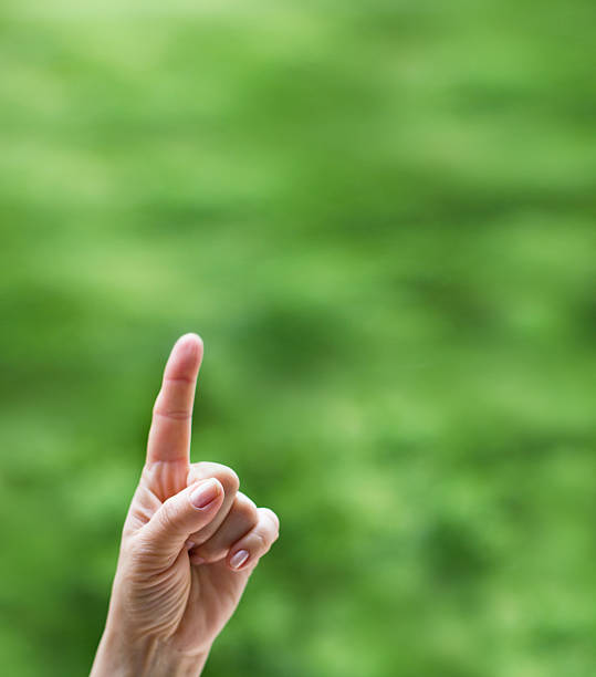 istock Female hand pointing up, to copy space 495301575