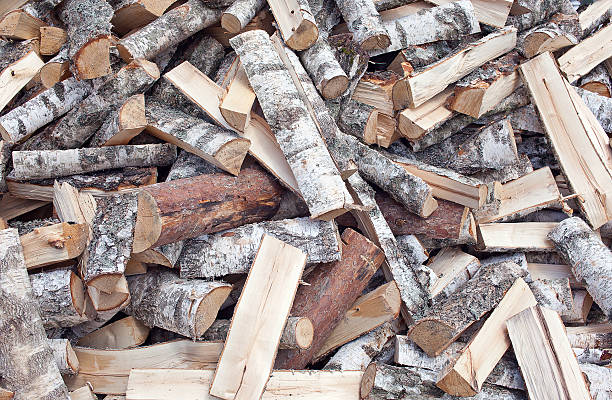 brennholz - pinaceous stock-fotos und bilder