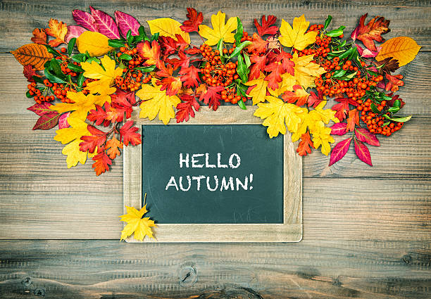 istock Autumn background with leaves and blackboard. Vintage toned 495310776