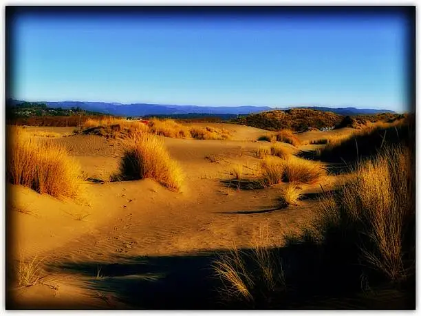 took this photo of some sand dunes 