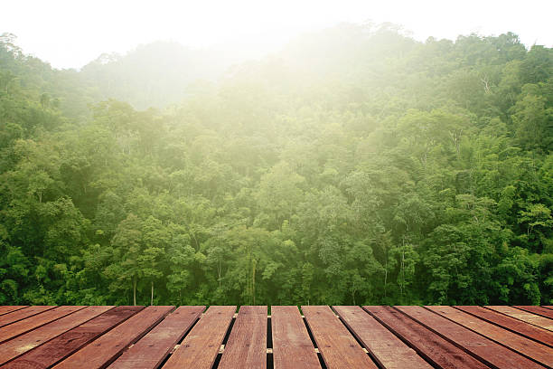 istock Tropical forest above a wooden floor 495312526