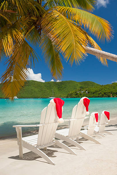 istock chairs with Santa hats under palm tree at a beach 495312890