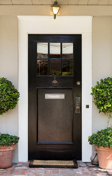 istock front door slim dark wood 495313338