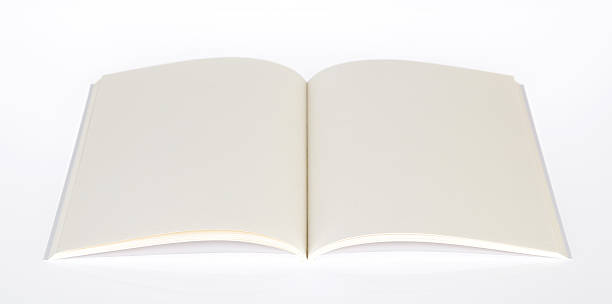 istock Blank catalog,brochure, magazines,book mock up 495314494