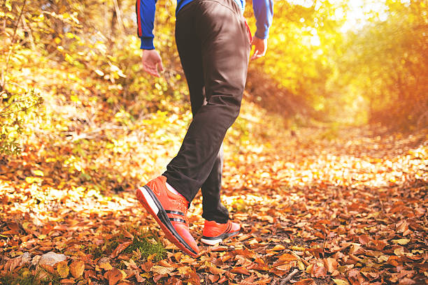istock Runner in the park on cold autumn day 495316820
