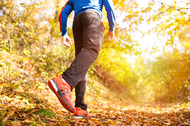 istock Runner in the park on cold autumn day 495316968