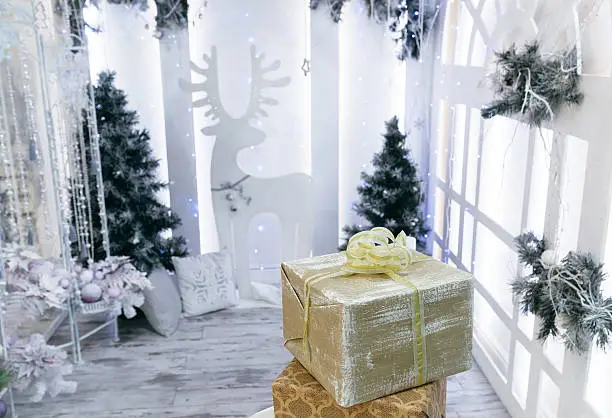Photo of Gift and Christmas tree