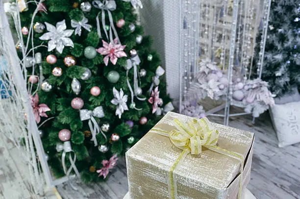 Photo of Gift and Christmas tree