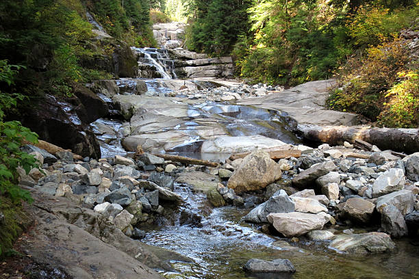 istock Creek in the Pacific Northwest 495318522