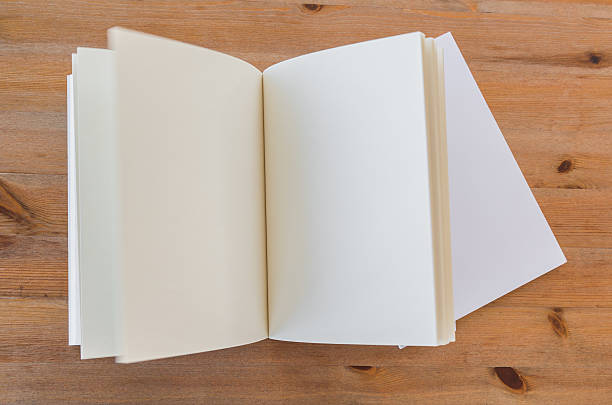 istock Blank catalog,brochure, magazines,book mock up 495318582