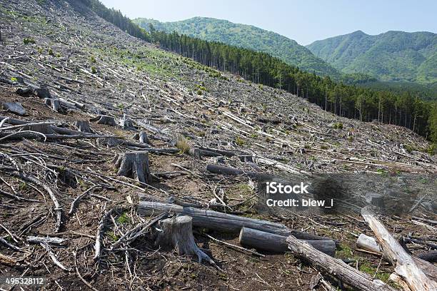 Deforestation Stock Photo - Download Image Now - Deforestation, Desertification, Japan