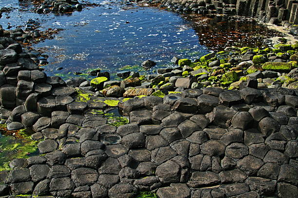 caminho dos gigantes de basalto colunas hexagonais junto a tidepool - national trust northern ireland uk rock imagens e fotografias de stock