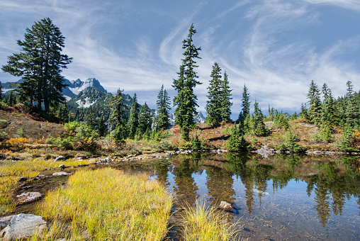 Fall comes early to the high peaks and meadows of the Cascade Range. While the Puget Sound country is still enjoying the last heat of summer, the mountains are taking on the hues of autumn. This scene of an alpine pond and meadow turning color was taken near Snow Lake in the Alpine Lakes Wilderness, Washington State, USA.