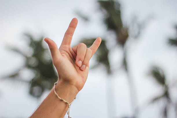 istock Heavy metal hand sign 495330050