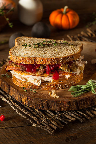 istock Homemade Leftover Thanksgiving Sandwich 495330444
