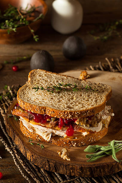 istock Homemade Leftover Thanksgiving Sandwich 495330464