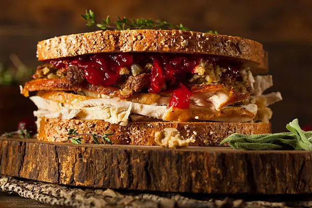 Homemade Leftover Thanksgiving Sandwich with Turkey Cranberries and Stuffing