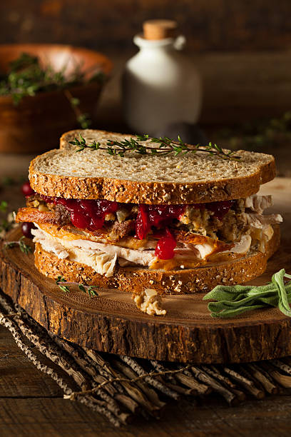 istock Homemade Leftover Thanksgiving Sandwich 495330498