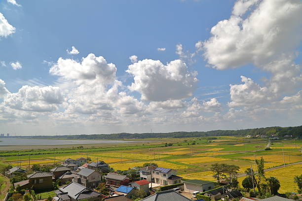 istock The landscape of Inbanuma. 495331184