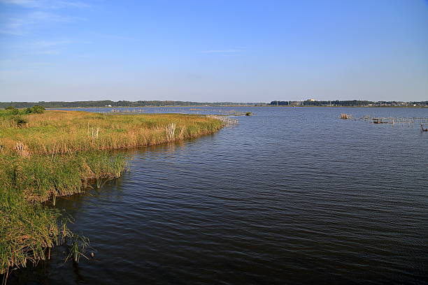 istock The landscape of Inbanuma. 495331436