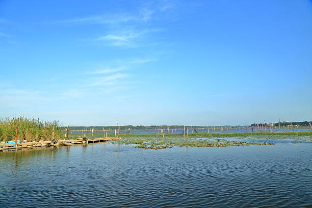 istock The landscape of Inbanuma. 495331472