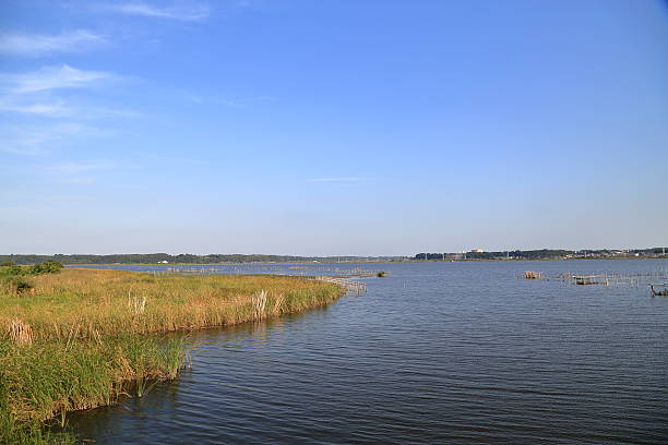 istock The landscape of Inbanuma. 495331636