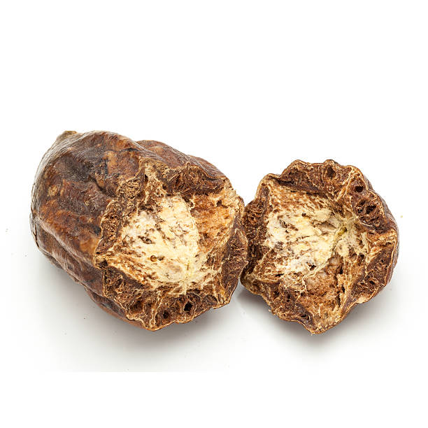 istock Macro closeup of a cracked Organic Inknut. 495332846