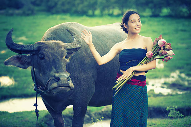 istock thai ancient young women with buffalo on rural 495332850