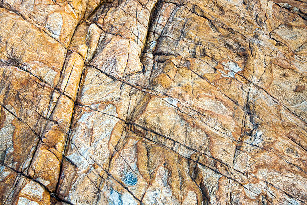 istock beautiful pattern in Stone at the coast 495335089
