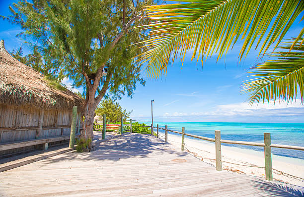 istock Tropical beach with palms and white sand on Caribbean 495338199