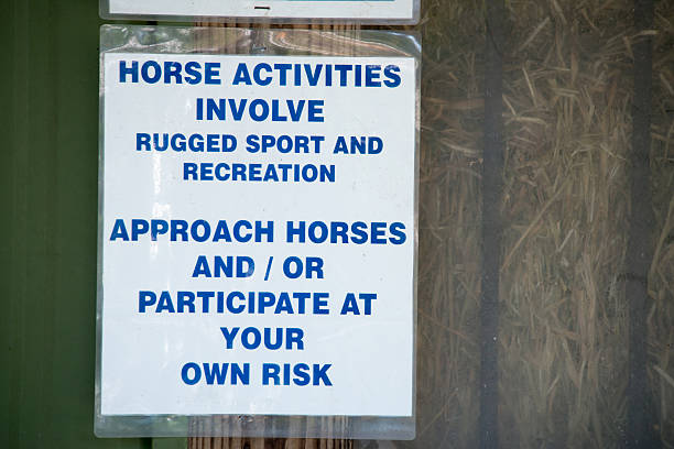 istock Horse Activities Sign 495338807