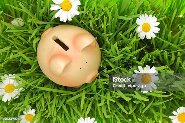 Piggy Bank On Green Grass With Flowers Background Stock Photo - Download Image Now - Finance, Sustainable Resources, Advertisement