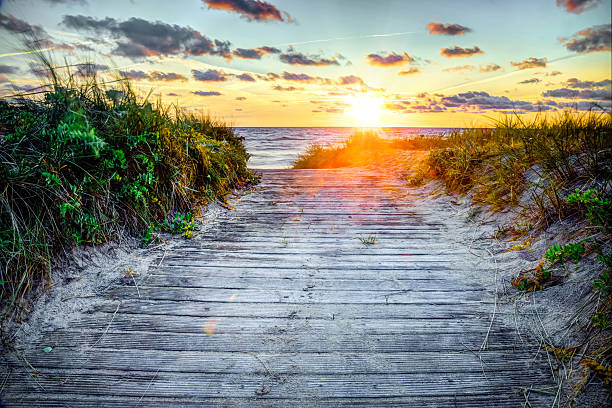 istock Wooden path over dunes at a beach 495339025