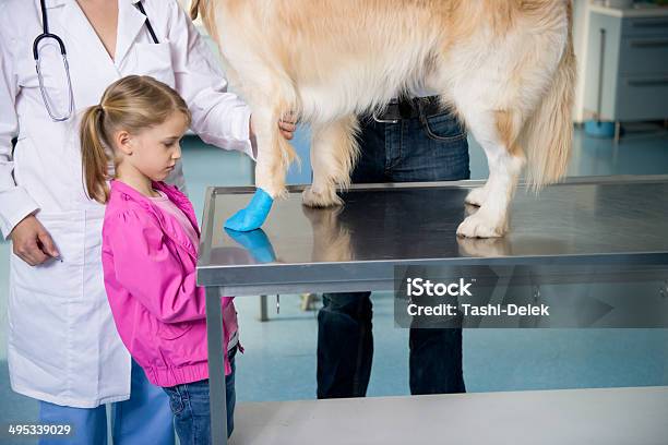 Foto de Veterano Com Cachorro E Proprietário e mais fotos de stock de Adulto - Adulto, Animal, Animal de estimação