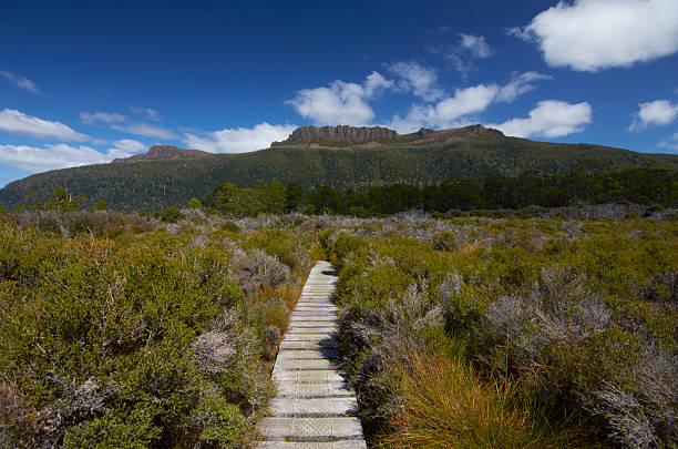 istock Overland Track, Tasmania 495340353