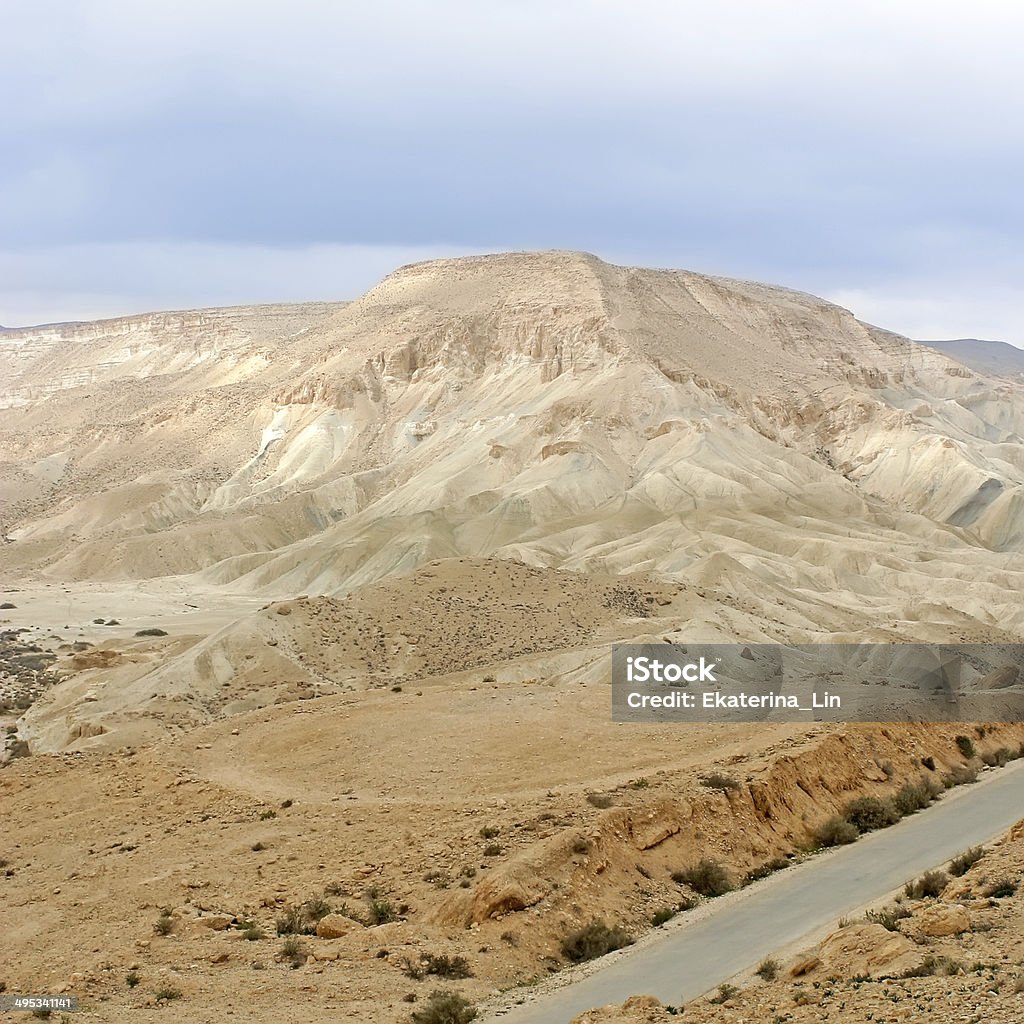 Paesaggio del deserto, scena biblica - Foto stock royalty-free di Albero